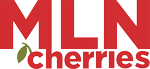 MLN Cherries Logo